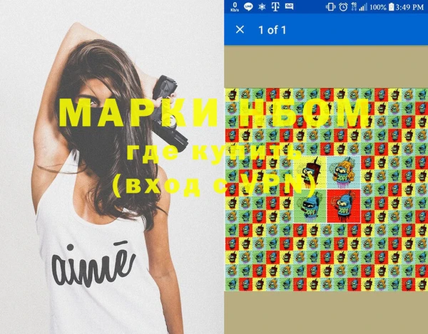 индика Баксан
