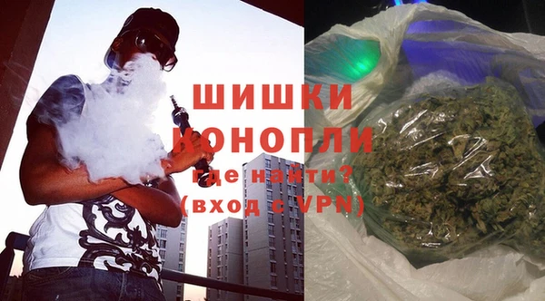 индика Баксан