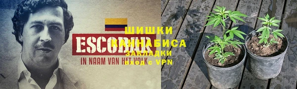 ALPHA PVP Магас